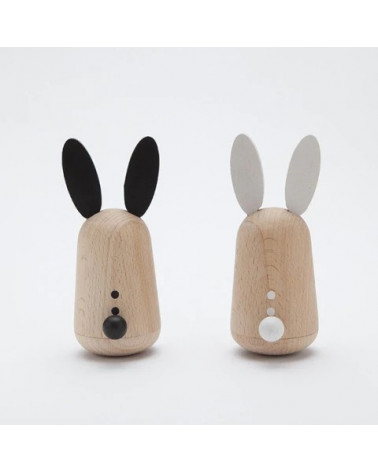 Usagi - a pair of Loving Rabbits