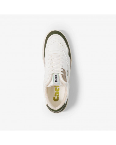 GEN1 - Cactus Tricolor