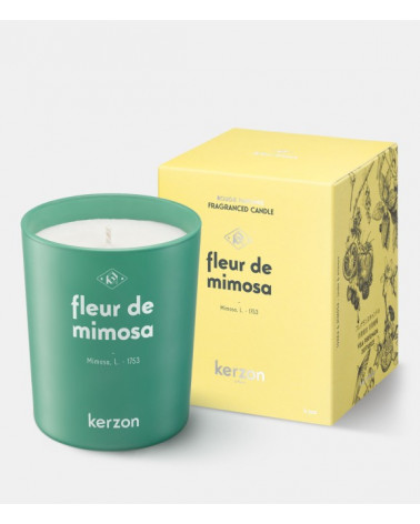 BOUGIES PARFUMÉES 190g - Fleur de Mimosa (Tonka & Mimosa)