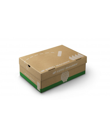 Aria 95 Turtledove / Iceberg Green